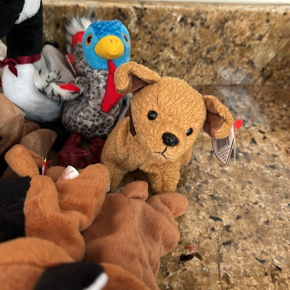 Beanie babies - Picture 9 of 9